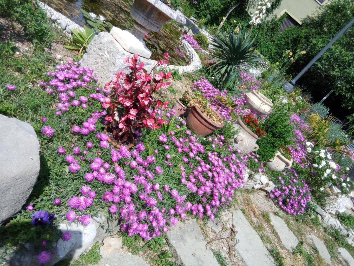 Villa Fiorita Monfalcone Eksteriør bilde