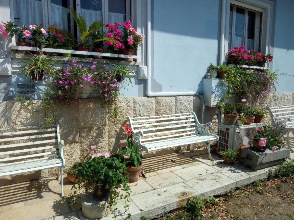 Villa Fiorita Monfalcone Eksteriør bilde