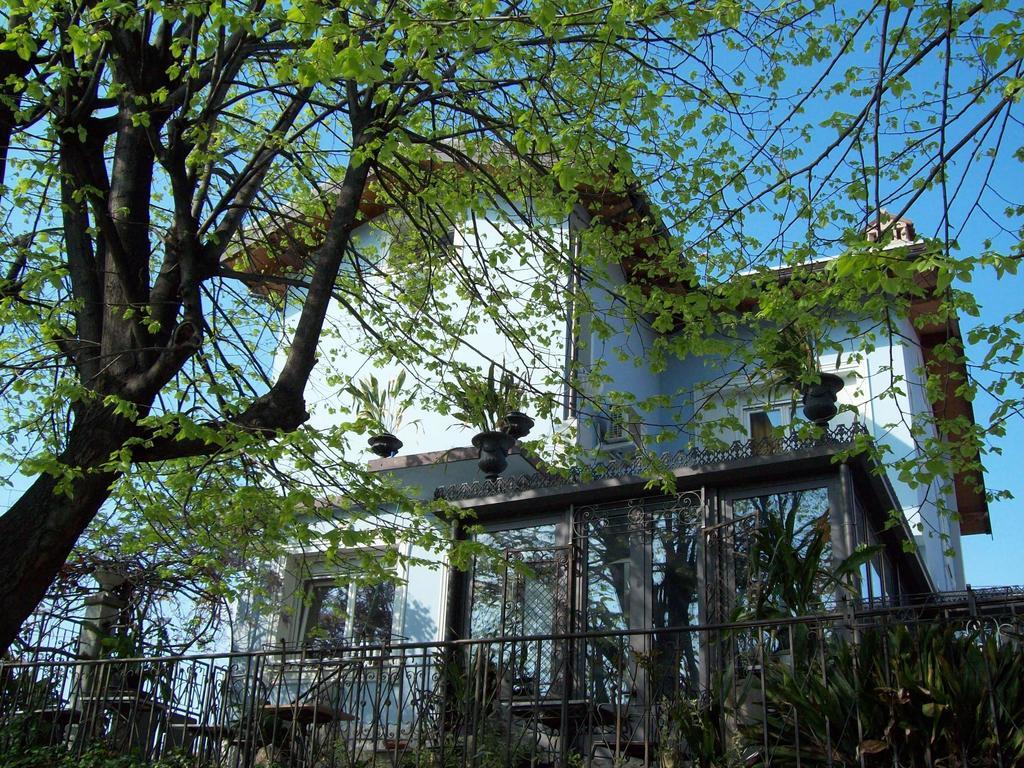 Villa Fiorita Monfalcone Rom bilde